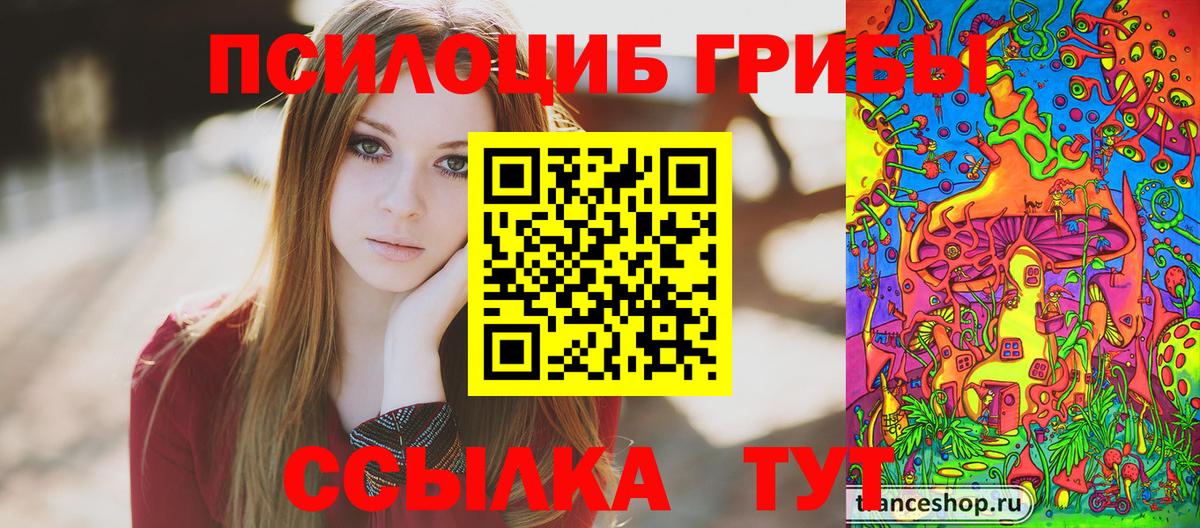 Псилоцибиновые грибы Psilocybe Сызрань